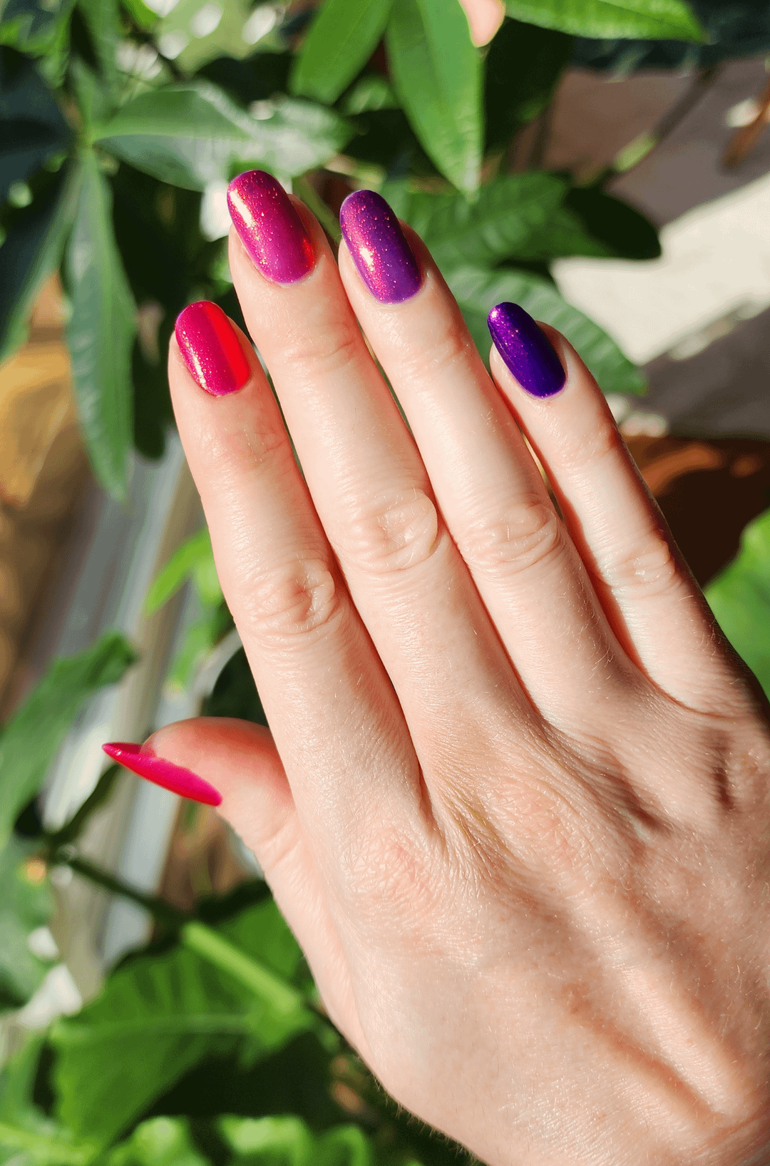 Scarlet To Violet Skittle COSMESTIC COM Beauty Makup And Cosmetics